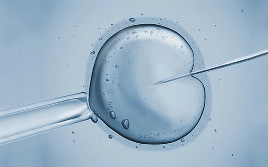 Aşılama Nedir? Tedavisi Nasıl Yapılır?